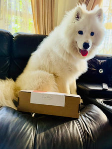 Introducing Gio!