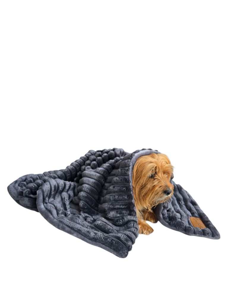 Snuggle Up, Pup! The Pawsome Perks of a Dog Blanket