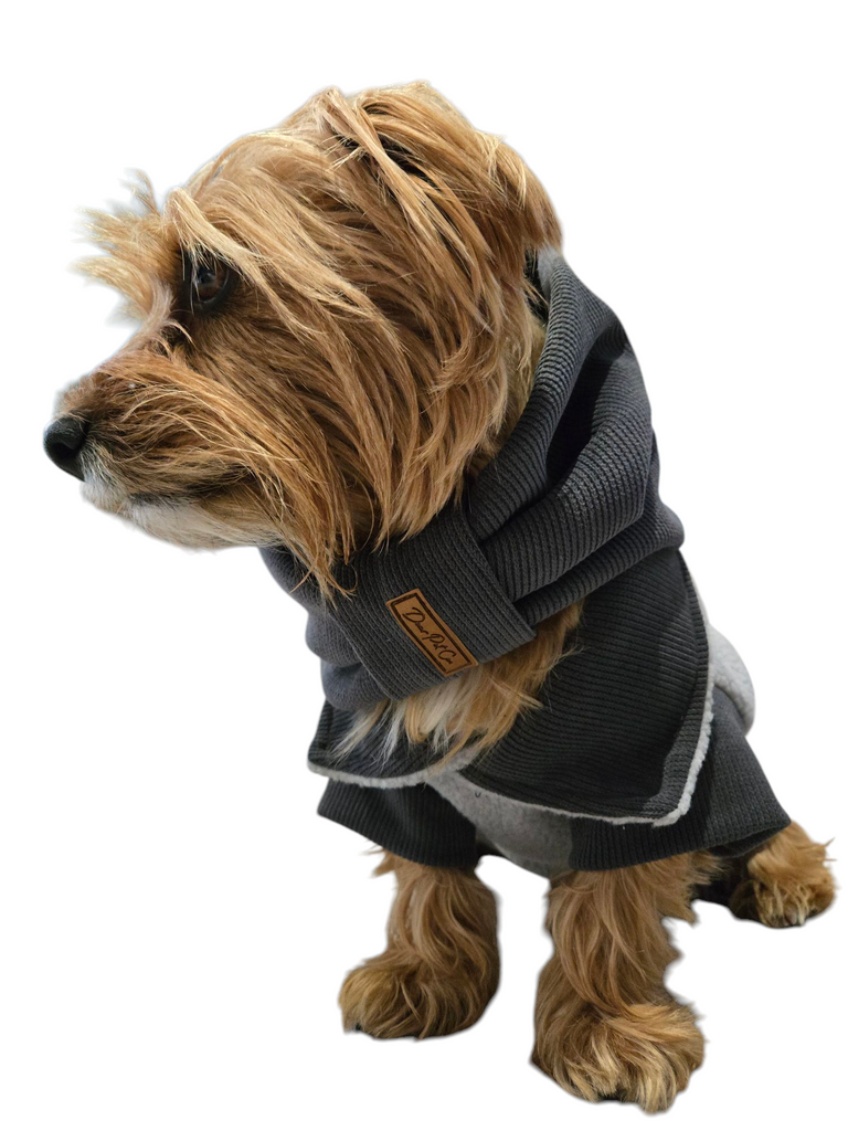 Pawsome Fashion: Dog Jackets, Jerseys, and Hoodies!