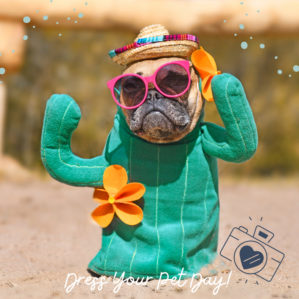 Dress your dog day!
