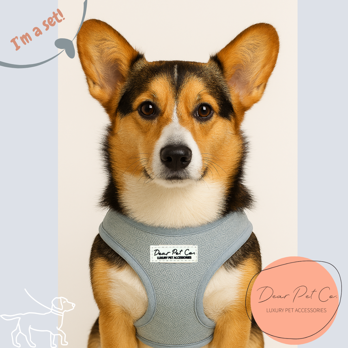 Dear Pet | Adjustable Harness Set Skyline Strides
