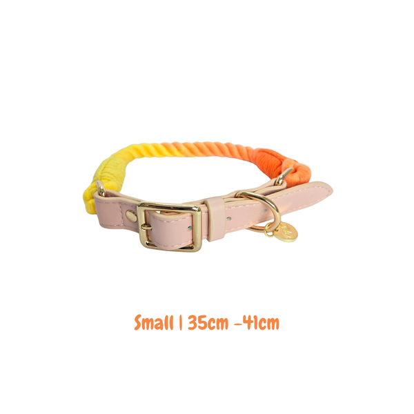 Dear Pet | Adjustable Rope Range Set Multi Rainbow