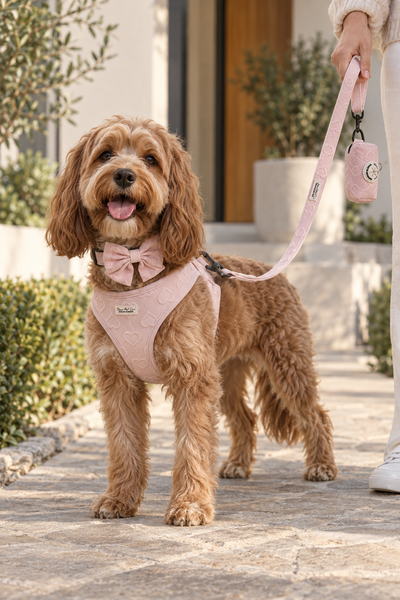 Dear Pet Co | Sweetheart Strolls Waste Bag Holder