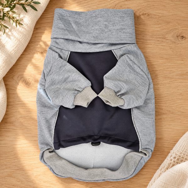 Adventure Softshell Dog Jacket