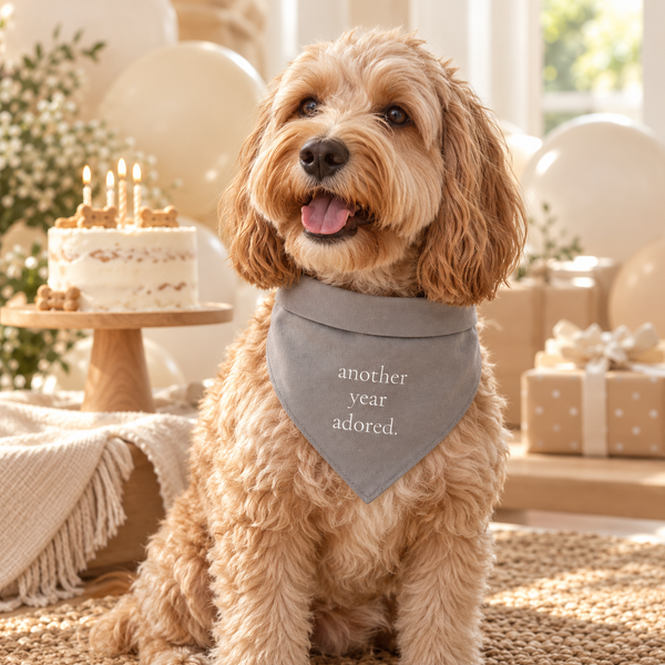 Another Year Adored Birthday Bandana