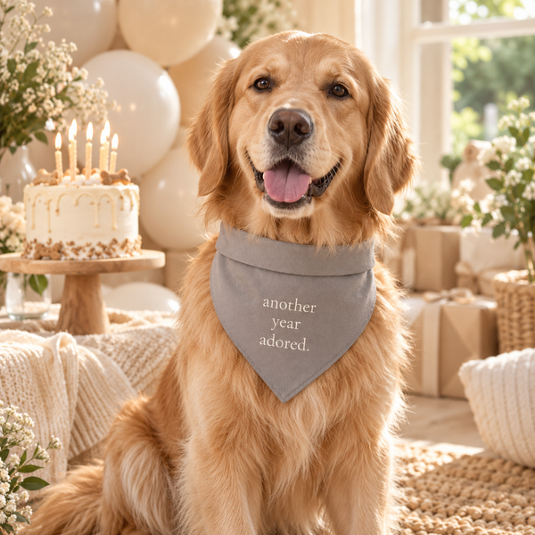 Another Year Adored Birthday Bandana
