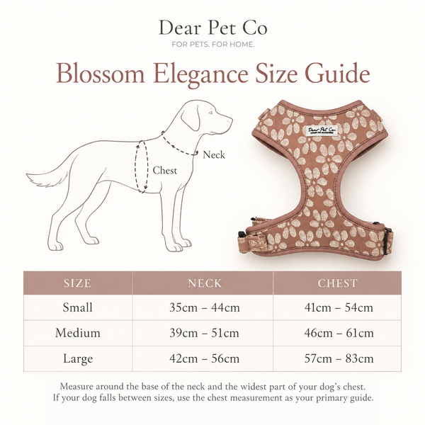Dear Pet Co | Blossom Elegance Walk & Wear Bundle