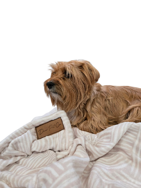 Fleece Pet Blanket | Boho Chic
