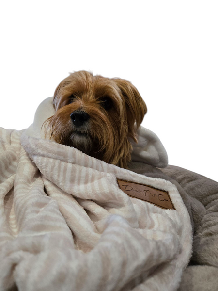 Fleece Pet Blanket | Boho Chic