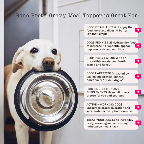 NutriFlex® Gravy Meal Topper 180g – Bone Broth for Dogs