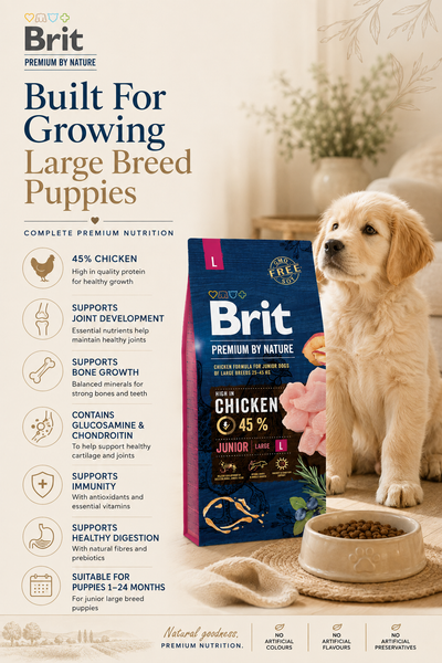 Brit Premium Junior Large | Chicken