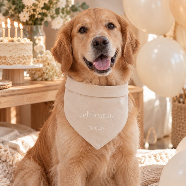 Celebrating Today Bandana