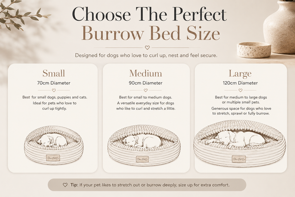 Dear Pet Co Burrow Pet Bed | Midnight
