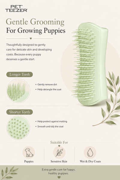 Pet Teezer Puppy Brush | Green