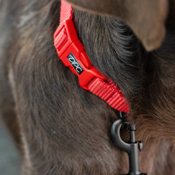 Webbing Collar | Red