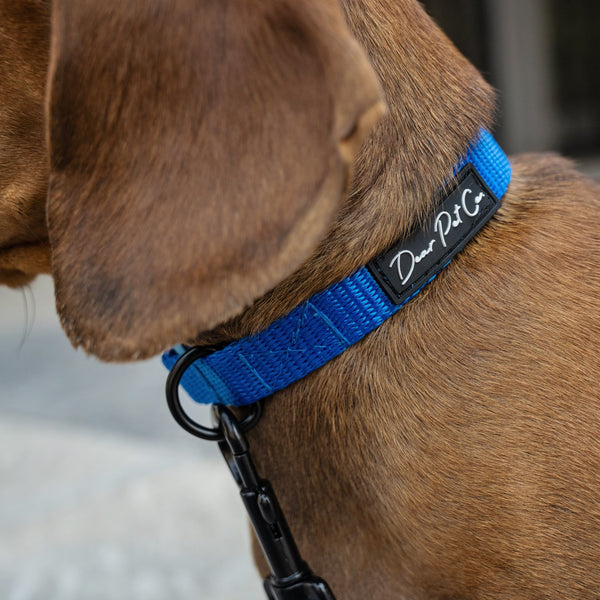 Webbing Collar | Blue