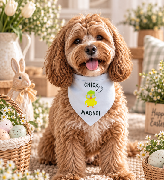 Dear Pet Co Bandana | Chick Magnet