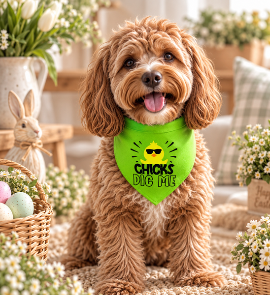 Dear Pet Co Bandana | Chicks Dig Me