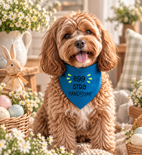 Dear Pet Co Bandana | Egg-Stra Handsome