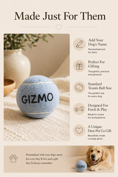 Dear Pet Co Personalised Tennis Ball | Powder Blue