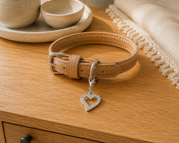 Dear Pet Co Collar Charm | Heart Outline