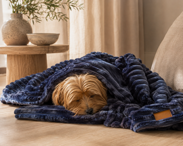 Dear Pet Co Corduroy Comfort Blanket | Deep Blue