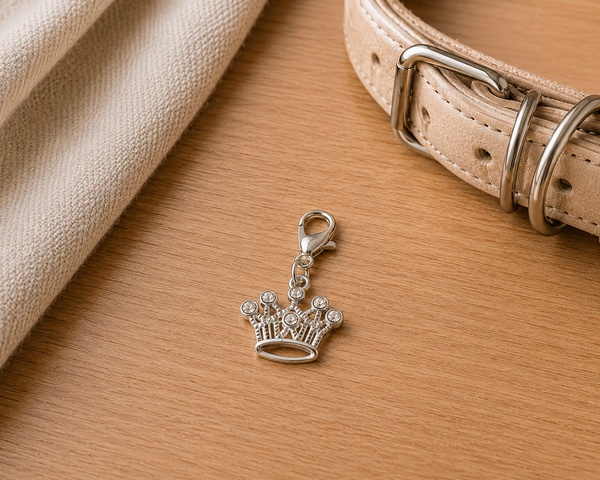 Dear Pet Co Crystal Collar Charm | Crown