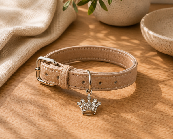 Dear Pet Co Crystal Collar Charm | Crown