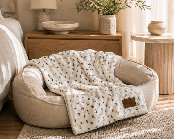 Dear Pet Co Signature Blanket | At Ease