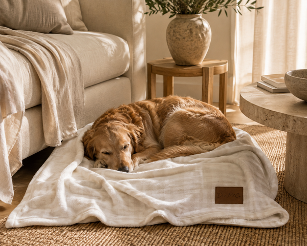 Dear Pet Co Signature Blanket | Gentle Lines