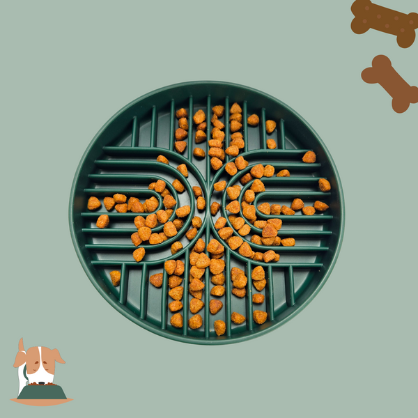 Bowl | Slow Feeder Green