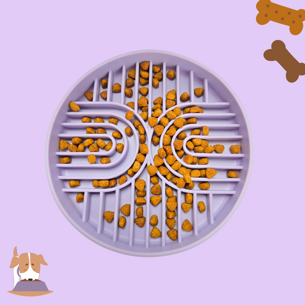 Bowl | Slow Feeder Lilac