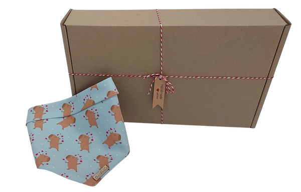 Bandana | Cupid's Capy Kisses