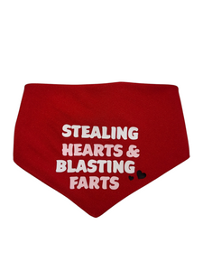 Bandana | Stealing Hearts & Blasting Farts