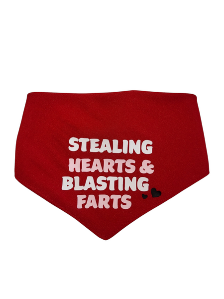 Bandana | Stealing Hearts & Blasting Farts
