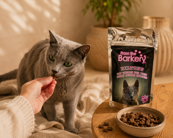 From The Barkery Biltong & Catnip Treatos | 40g