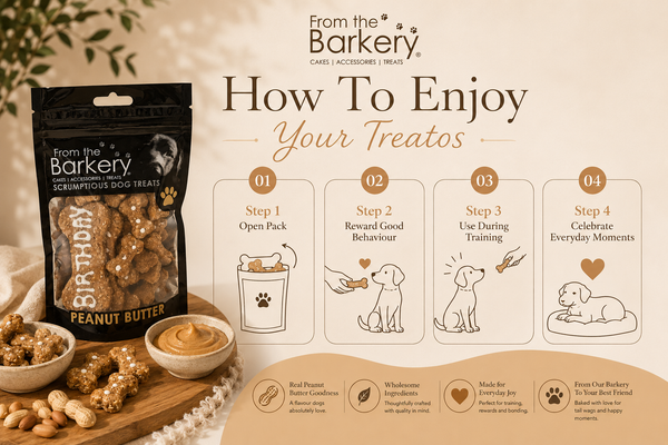 From The Barkery Peanut Butter Treato | 100g