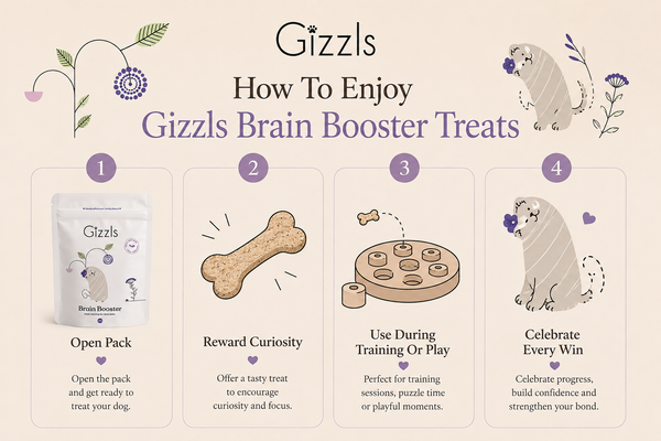 Gizzls Brain Booster Dog Treats | 100g / 200g