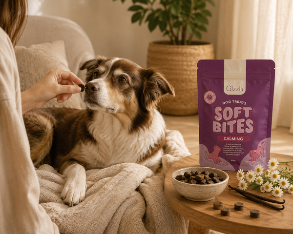 Gizzls Calming Soft Dog Treats | 300g