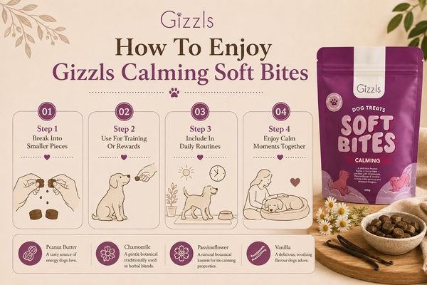 Gizzls Calming Soft Dog Treats | 300g