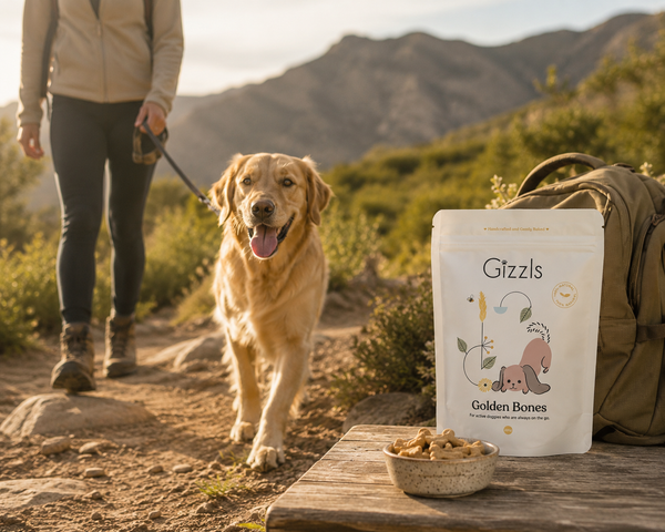 Gizzls Golden Bones Dog Treats | 100g / 200g