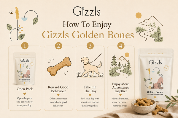 Gizzls Golden Bones Dog Treats | 100g / 200g