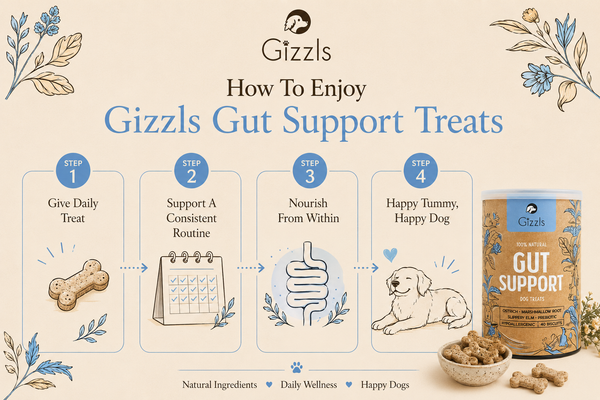 Gizzls Gut Support Dog Treats