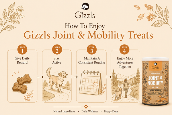 Gizzls Joint & Mobility Dog Treats