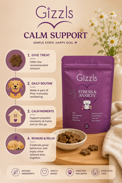 Gizzls Large Dog Calm Support CBD Treats | 50 Treats