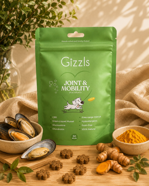 Gizzls Large Dog Joint & Mobility CBD Treats | 50 Treats