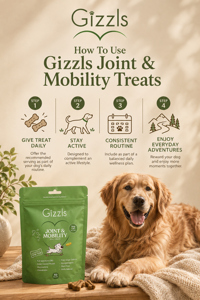 Gizzls Large Dog Joint & Mobility CBD Treats | 50 Treats