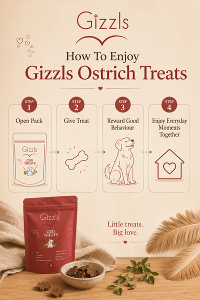 Gizzls Ostrich CBD Dog Treats | Medium & Large Dogs
