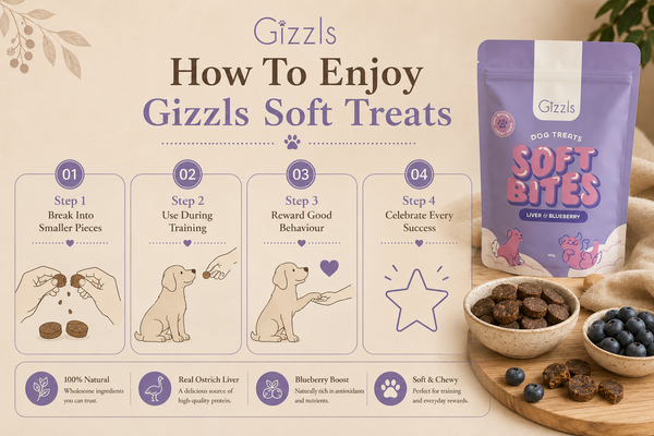 Gizzls Ostrich Liver & Blueberry Soft Dog Treats | 150g / 300g