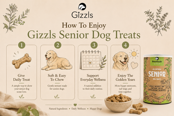 Gizzls Senior Dog Treats
